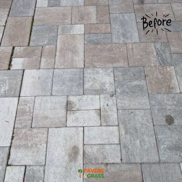Installing Brown Pavers in a Pool Area