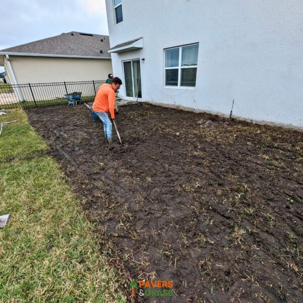 Backyard and sidewalks with white charcoal pavers