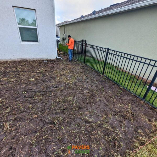 Backyard and sidewalks with white charcoal pavers